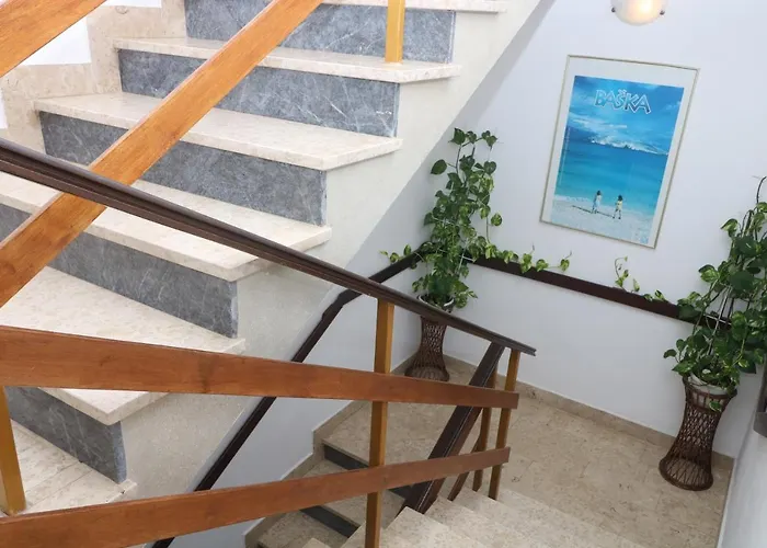 Tomasic With Terrace 바슈카