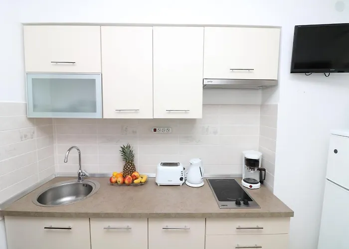 Tomasic With Terrace * باشْكا